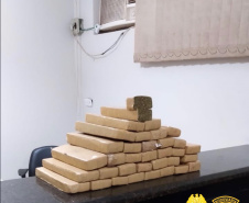 Com ajuda de cães, PM apreende mais de 38 toneladas de maconha
. Foto:SESP