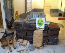 Com ajuda de cães, PM apreende mais de 38 toneladas de maconha
. Foto:SESP