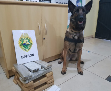 Com ajuda de cães, PM apreende mais de 38 toneladas de maconha
. Foto:SESP