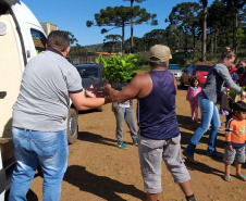 O projeto Renda Agricultor Familiar - ação do programa Nossa Gente criada em 2015, para ajudar as famílias que vivem no campo - já atendeu até o momento mais de 5