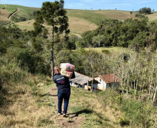 A Secretaria da Justiça, Família e Trabalho do Governo do Paraná (Sejuf), por meio do Departamento de Políticas para Pessoa com Deficiência, está distribuindo 19.190 cestas básicas para prover a segurança alimentar emergencial às famílias de pessoas com deficiência que se encontram em vulnerabilidade social e que foram afetadas pela pandemia da Covid-19. No total serão 260 municípios beneficiados, ou seja, mais de 65% do total dos municípios paranaenses. 
Foto:SEJUF