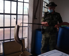153 cobras peçonhentas são recolhidas de residência em Mandaguari
Foto:SEDEST/Polícia Ambiental