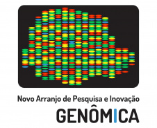 Com o objetivo de avançar no desenvolvimento de metodologias aplicadas ao diagnóstico e prevenção de doenças de base genética, em especial a Covid 19 e doenças oncológicas, a Fundação Araucária (FA) e a Superintendência Geral de Ciência, Tecnologia e Ensino Superior (Seti) lançaram, nesta sexta-feira (31), a Rede Paranaense de Pesquisa Genômica.  Foto: Fundação Araucária