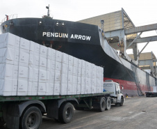 O Porto de Paranaguá faz nesta semana uma operação diferente. O navio Penguin Arrow, atracado no berço 215, opera, simultaneamente, dois tipos de cargas diferentes. Ao mesmo tempo que descarrega malte, é embarcada 45.758 toneladas de celulose – a segunda maior quantidade do produto movimentada no porto paranaense.