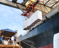 O Porto de Paranaguá faz nesta semana uma operação diferente. O navio Penguin Arrow, atracado no berço 215, opera, simultaneamente, dois tipos de cargas diferentes. Ao mesmo tempo que descarrega malte, é embarcada 45.758 toneladas de celulose – a segunda maior quantidade do produto movimentada no porto paranaense.