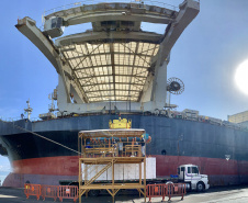 O Porto de Paranaguá faz nesta semana uma operação diferente. O navio Penguin Arrow, atracado no berço 215, opera, simultaneamente, dois tipos de cargas diferentes. Ao mesmo tempo que descarrega malte, é embarcada 45.758 toneladas de celulose – a segunda maior quantidade do produto movimentada no porto paranaense.