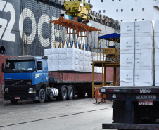 O Porto de Paranaguá faz nesta semana uma operação diferente. O navio Penguin Arrow, atracado no berço 215, opera, simultaneamente, dois tipos de cargas diferentes. Ao mesmo tempo que descarrega malte, é embarcada 45.758 toneladas de celulose – a segunda maior quantidade do produto movimentada no porto paranaense.