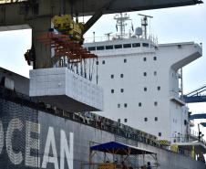 O Porto de Paranaguá faz nesta semana uma operação diferente. O navio Penguin Arrow, atracado no berço 215, opera, simultaneamente, dois tipos de cargas diferentes. Ao mesmo tempo que descarrega malte, é embarcada 45.758 toneladas de celulose – a segunda maior quantidade do produto movimentada no porto paranaense.