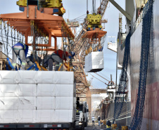 O Porto de Paranaguá faz nesta semana uma operação diferente. O navio Penguin Arrow, atracado no berço 215, opera, simultaneamente, dois tipos de cargas diferentes. Ao mesmo tempo que descarrega malte, é embarcada 45.758 toneladas de celulose – a segunda maior quantidade do produto movimentada no porto paranaense.