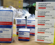 Paraná recebe quase 100 mil ampolas de medicamentos para entubação
. Foto: Américo Antonio/SESA