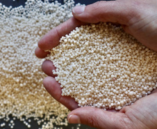 Portos do Paraná são referência na movimentação de fertilizantes
