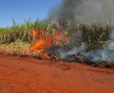Paraná suspende por 30 dias queimada de cana-de-açúcar. Foto:SEDEST