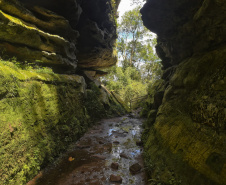 Foto:Denis Ferreira Netto/SEDES