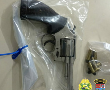 Segurança prende 12 pessoas  ligadas ao tráfico de drogas
. Foto:SESP