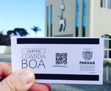 Soluções da Celepar auxiliam no enfrentamento à pandemia
. Foto: Celepar