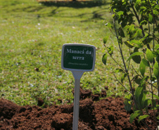 O Governador Carlos Massa Ratinho Junior participa nesta sexta-feira (28), da campanha Floresce Paraná, em comemoração ao Dia Nacional do Voluntariado. A ação é liderada pela primeira-dama do Estado e presidente do Conselho de Ação Solidária, Luciana Saito Massa. Acompanhados do secretário do Desenvolvimento Sustentável e do Turismo, Marcio Nunes.     Curitiba, 28/08/2020. Foto: Geraldo Bubniak/AEN