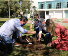 O Governador Carlos Massa Ratinho Junior participa nesta sexta-feira (28), da campanha Floresce Paraná, em comemoração ao Dia Nacional do Voluntariado. A ação é liderada pela primeira-dama do Estado e presidente do Conselho de Ação Solidária, Luciana Saito Massa. Acompanhados do secretário do Desenvolvimento Sustentável e do Turismo, Marcio Nunes.     Curitiba, 28/08/2020. Foto: Geraldo Bubniak/AEN