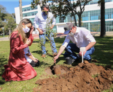 O Governador Carlos Massa Ratinho Junior participa nesta sexta-feira (28), da campanha Floresce Paraná, em comemoração ao Dia Nacional do Voluntariado. A ação é liderada pela primeira-dama do Estado e presidente do Conselho de Ação Solidária, Luciana Saito Massa. Acompanhados do secretário do Desenvolvimento Sustentável e do Turismo, Marcio Nunes.     Curitiba, 28/08/2020. Foto: Geraldo Bubniak/AEN
