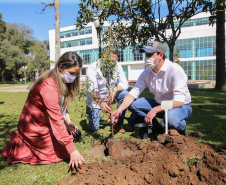 O Governador Carlos Massa Ratinho Junior participa nesta sexta-feira (28), da campanha Floresce Paraná, em comemoração ao Dia Nacional do Voluntariado. A ação é liderada pela primeira-dama do Estado e presidente do Conselho de Ação Solidária, Luciana Saito Massa. Acompanhados do secretário do Desenvolvimento Sustentável e do Turismo, Marcio Nunes.     Curitiba, 28/08/2020. Foto: Geraldo Bubniak/AEN