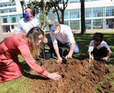 O Governador Carlos Massa Ratinho Junior participa nesta sexta-feira (28), da campanha Floresce Paraná, em comemoração ao Dia Nacional do Voluntariado. A ação é liderada pela primeira-dama do Estado e presidente do Conselho de Ação Solidária, Luciana Saito Massa. Acompanhados do secretário do Desenvolvimento Sustentável e do Turismo, Marcio Nunes.     Curitiba, 28/08/2020. Foto: Geraldo Bubniak/AEN