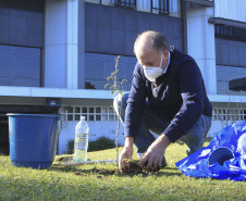 O secretário do Desenvolvimento Urbano e de Obras Públicas, João Carlos Ortega, e o superintendente executivo do Serviço Social Autônomo (Paranacidade, vinculado ao órgão), Álvaro José Cabrini Junior, também aderiram  Floresce Paraná. “O Dia Nacional do Voluntariado aponta para o incentivo de se fazer parte de projetos voluntários de apoio a pessoas em qualquer situação de necessidade”, comentou Ortega.
