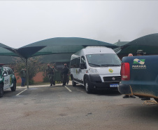 O animal surpreendeu moradores de São José dos Pinhais nesta quinta-feira (27) após ser visto por uma criança no alto de uma árvore no terreno da residência da família, que acionou os órgãos competentes. 
Foto:IAT