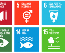     Curso sobre Agenda 2030 pode ajudar plataformas dos candidatos.  Imagem:SEDU