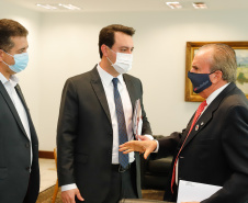 O governador Carlos Massa Ratinho Junior se reuniu nesta terça-feira (1º) com a nova diretoria do Sindicato das Indústrias de Produtos Avícolas do Estado do Paraná (Sindiavipar), eleita na semana passada, e disse que o Estado tem interesse em ampliar a quantidade de granjas nos pequenos municípios para gerar mais empregos e desenvolvimento, além de fortalecer a cadeia com acesso a crédito, nova infraestrutura e energia elétrica sem interrupções
