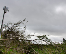 Foto: Arion Ferreira 