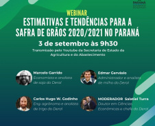 Agricultura promove webinar sobre a safra 2020/2021 no Paraná
. Imagem:SEAB