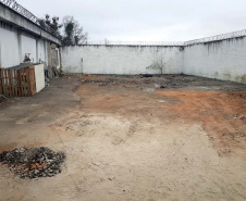 139 veículos são retirados do pátio da Delegacia de Campo Largo
. Foto:SESP