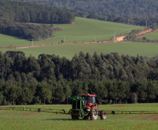 Paraná Trifásico alcança 1,2 mil quilômetros de novas redes.Foto:Ari Dias/AEN.