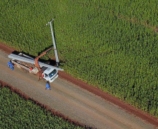 Paraná Trifásico alcança 1,2 mil quilômetros de novas redes.Foto:José fernando Ogura/AEN.