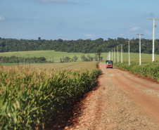 Paraná Trifásico alcança 1,2 mil quilômetros de novas redes.Foto:José fernando Ogura/AEN.