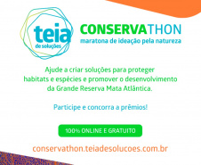 Evento desafia criatividade em soluções para a proteção da Mata Atlântica. 