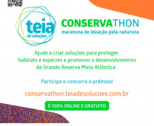 Evento desafia criatividade em soluções para a proteção da Mata Atlântica. 