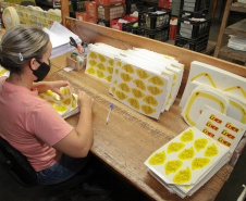  Uma das mais tradicionais indústrias da cidade é a Schimidt. A empresa, fundada em 1945, tem uma fábrica operando desde 1953 e hoje é uma das marcas de louças de mesa mais tradicionais do Brasil.. Foto: Ari Dias/AEN.