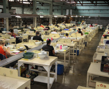  Uma das mais tradicionais indústrias da cidade é a Schimidt. A empresa, fundada em 1945, tem uma fábrica operando desde 1953 e hoje é uma das marcas de louças de mesa mais tradicionais do Brasil.. Foto: Ari Dias/AEN.