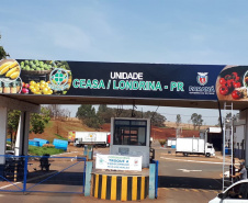  As Ceasas de Londrina e Maringá estarão abertas na próxima segunda-feira, dia 12 de outubro, feriado nacional em homenagem a Nossa Senhora Aparecida, padroeira do Brasil As Ceasas de Curitiba, Cascavel e Foz do Iguaçu fecham suas unidades nessa data. Foto:Ceasa