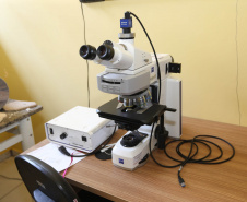 A Universidade Estadual de Maringá (UEM) anunciou a implantação do novo curso de Física Médica, no Câmpus de Goioerê, com oferta 40 vagas, com duração de quatro anos.   15/10/2020 - Foto: Geraldo Bubniak/AEN