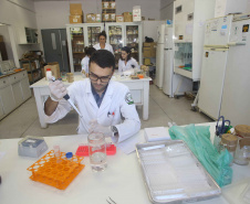 Universidades estaduais do Paraná conquistam nota máxima no Enade. Foto: Jaelson Lucas/Arquivo AEN
