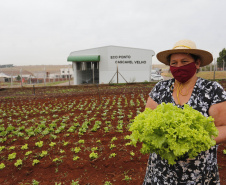 O governador também participou na inauguração do Ecoponto do bairro Cascavel Velho. Essa é uma unidade de triagem e processamento de materiais recicláveis, contemplada em um convênio da prefeitura de Cascavel com a Itaipu Binacional, que pretende descentralizar as atividades de reciclagem e proporcionar melhores condições aos trabalhadores organizados em cooperativas. O investimento foi de R$ 927 mil, sendo 75% custeado pela usina.