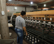 FEITO NO PARANA - Casulo Feliz empresa de Maringa que produz  fio de seda  de forma manual, aproveitando os casulos impróprios para a indústria e também reciclando os subprodutos dessa mesma matéria-prima.07/10/2020 - Foto: Geraldo Bubniak/AEN