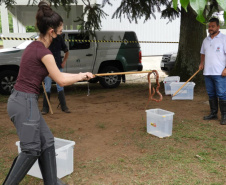 Começa nesta sexta-feira (30) as inscrições para 3ª edição da Residência Técnica em Engenharia e Gestão Ambiental. Ao todo, são 100 vagas em 21 cidades do Paraná para profissionais recém-formados. As inscrições serão feitas exclusivamente pela internet, até o dia 12 de novembro no link: www.cps.uepg.br/externos. Foto:SETI