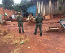 Paraná divulga balanço da Megaoperação Divisas Integradas III. Foto:SESP