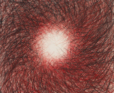 MON apresenta exposição da artista Vera Martins.