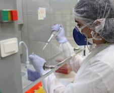 Equipamento amplia a capacidade prática de exames de DNA do Laboratório de Genética Molecular Forense e foi doado pela Secretaria Nacional da Segurança Pública do Ministério da Justiça.
Foto: SESP PR