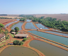 Pavimentação em estradas rurais facilita produção em Maripá