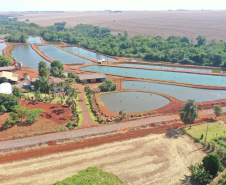 Pavimentação em estradas rurais facilita produção em Maripá