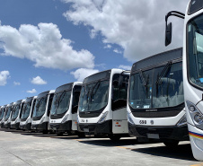 O maior embarque de ônibus da história do Porto de Paranaguá acontece nesta sexta-feira (13). Em um único lote, o navio Maestro Universe volta carrega 155 unidades. Os veículos de transporte coletivo serão levados para os portos de Boma, no Congo, e Luanda, em Angola. A previsão é que zarpe para a África no início da tarde. A viagem deve durar entre dez e 13 dias até os destinos. Foto: Claudio Neves